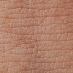 WhatsApp Image 2025-02-12 at 22.44